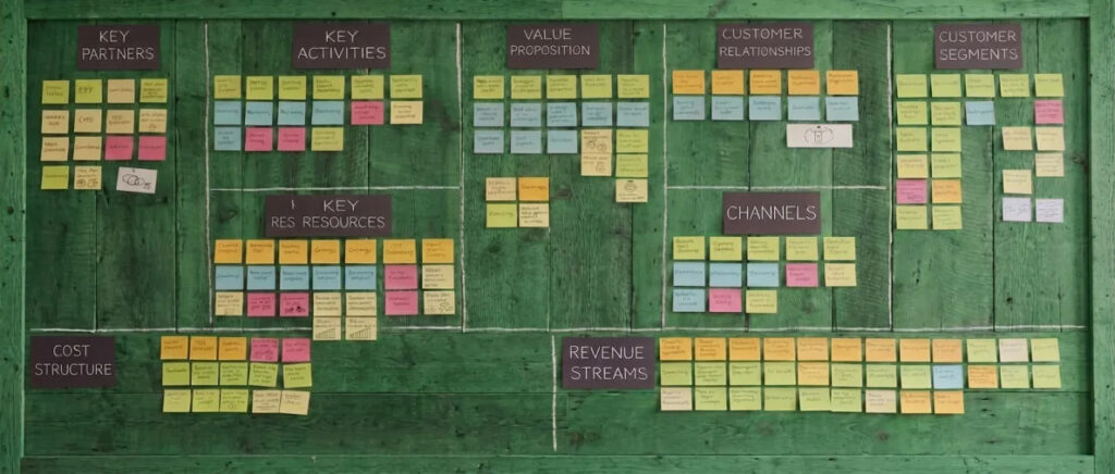 ngo business model development