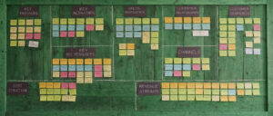 ngo business model development